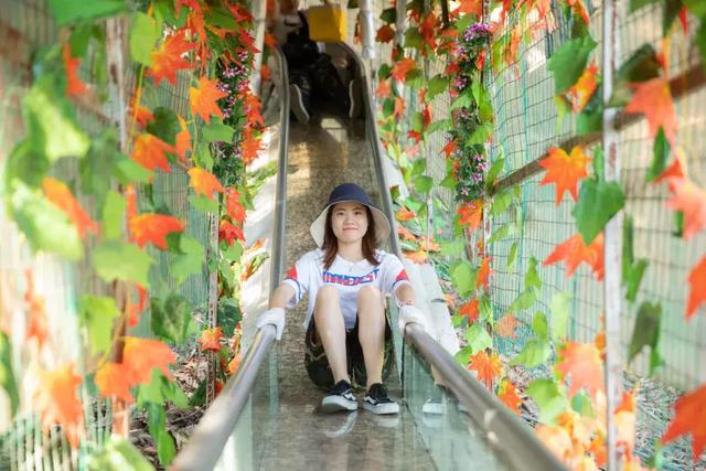 炎炎夏日，恒温22度的东莞观音山清凉舒适