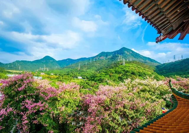 深圳的后花园，东莞观音山竟然这么美
