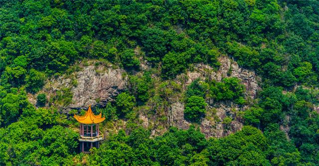 林木成海，以景为链，观音山带动你的健步热情