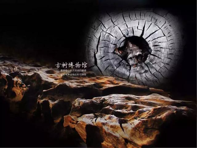 深圳周边被忽略的美景，端午节乐游东莞观音山