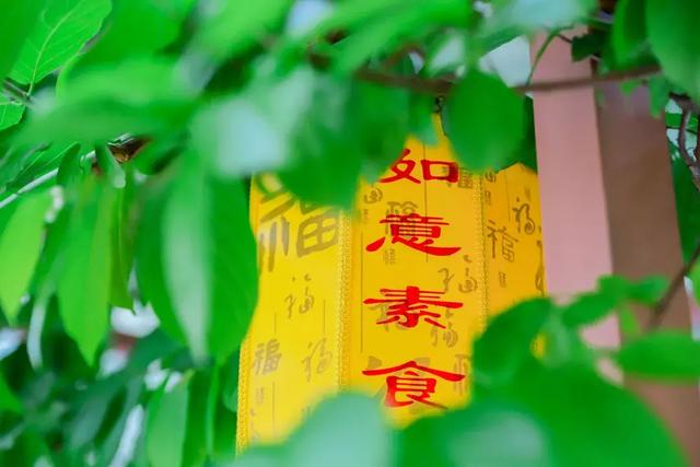 深圳周边被忽略的美景，端午节乐游东莞观音山