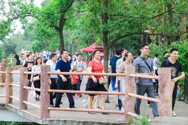 践行绿色发展理念，观音山打造康养生态旅游胜地