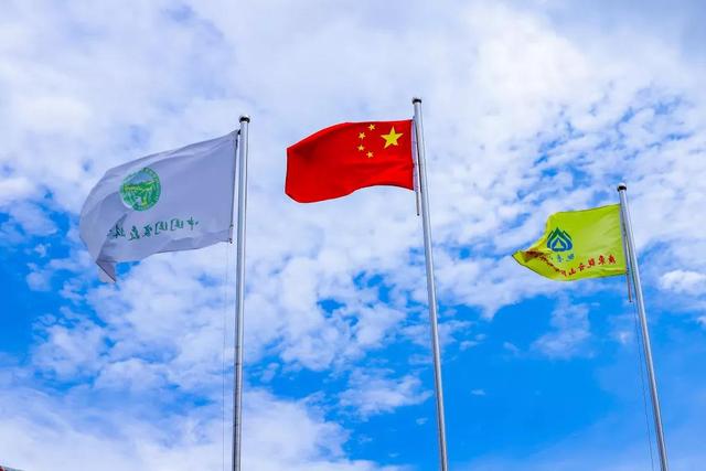 14亿护旗手，让国旗飘扬在东莞的青山绿水中