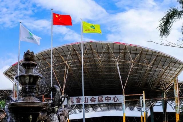 14亿护旗手，让国旗飘扬在东莞的青山绿水中