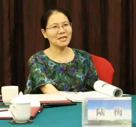 全国首家深呼吸旅游度假区，落户东莞观音山