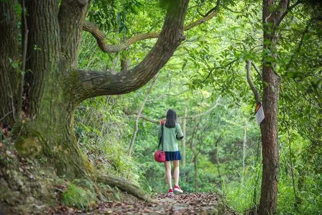 东莞观音山中秋佳节新玩法，一字万金求下联