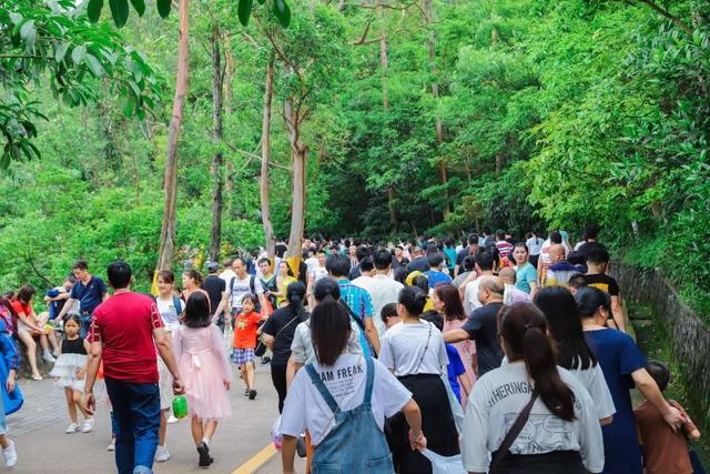 东莞观音山积极践行两山论，力争成为先行示范山