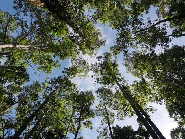 打卡东莞观音山，行走中的中央空调