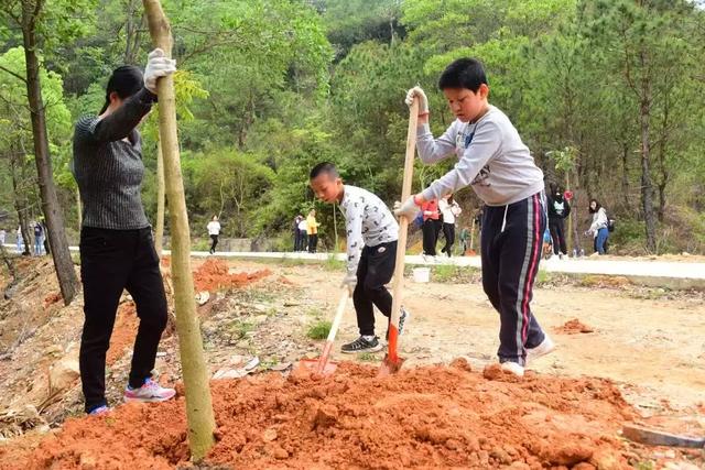 东莞观音山积极践行两山论，力争成为先行示范山