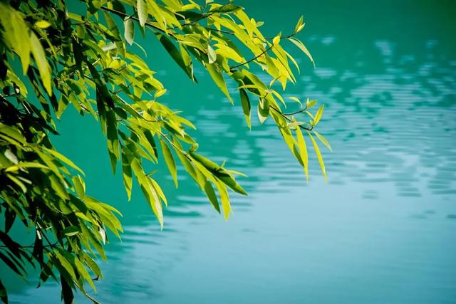 欢乐出游季，快来东莞观音山收获最美秋景