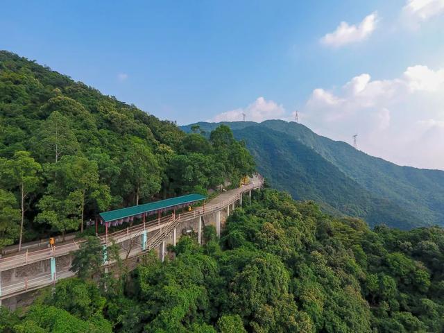 欢乐出游季，快来东莞观音山收获最美秋景