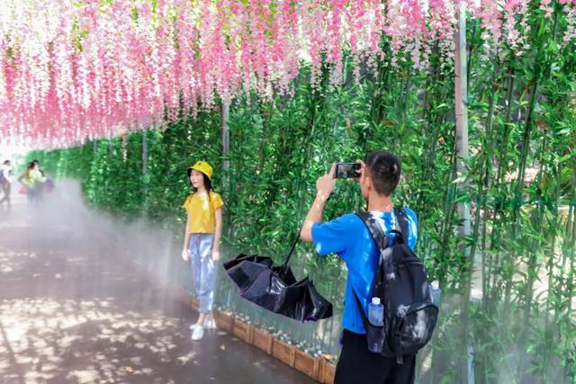 新年登高节节升，元旦到东莞观音山登高许愿