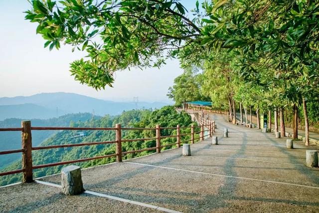 新年登高节节升，元旦到东莞观音山登高许愿