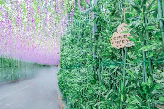 新年登高节节升，元旦到东莞观音山登高许愿