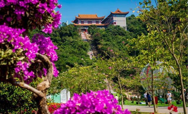 新年登高节节升，元旦到东莞观音山登高许愿