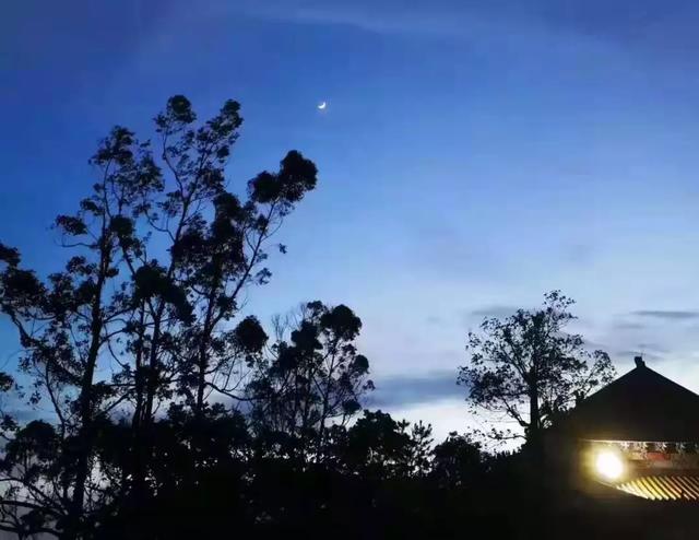 东莞观音山3月18日恢复开园，润心养肺等你来