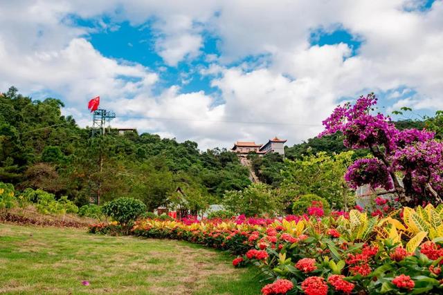 东莞观音山3月18日恢复开园，润心养肺等你来