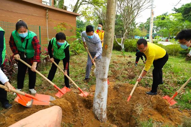 倡导低碳环保生活，东莞观音山生态补偿公益行