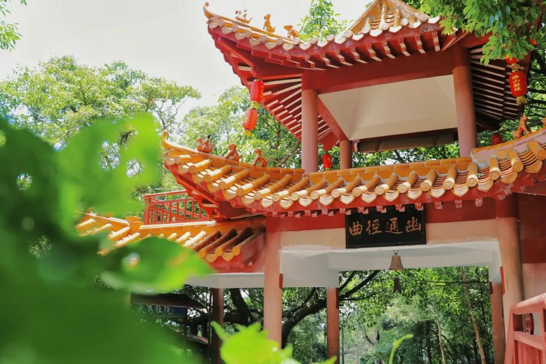 许愿结福缘,元旦来东莞观音山福气满满,迎接新年