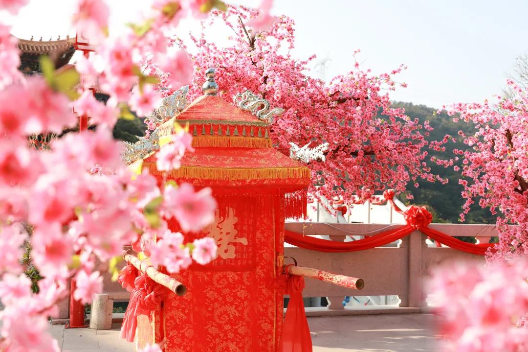 春暖花开，缘定观音山，第34届粤港澳相亲会浪漫上线