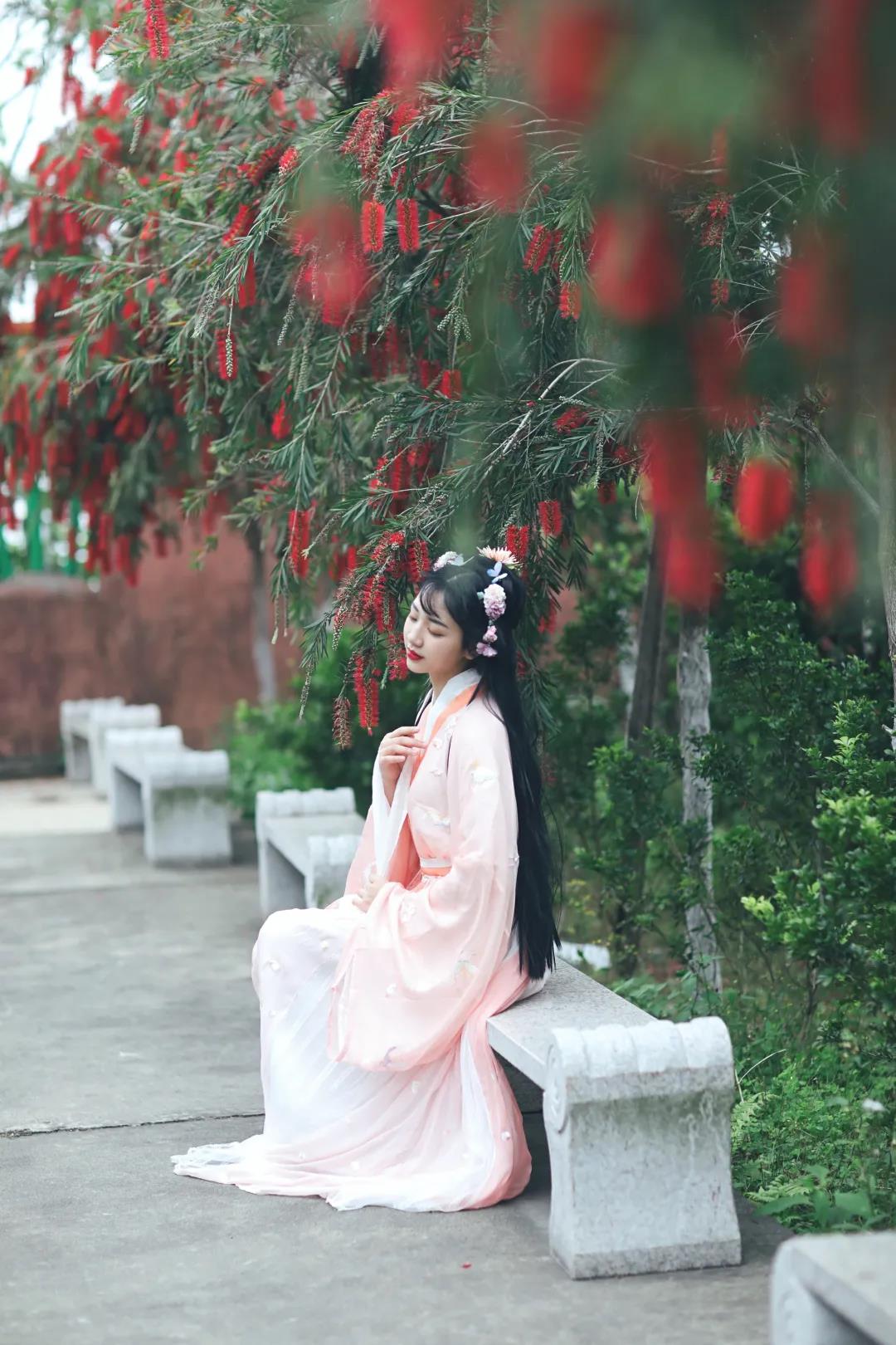种常青树，许平安愿，赏百花，东莞观音山尽藏春日野趣