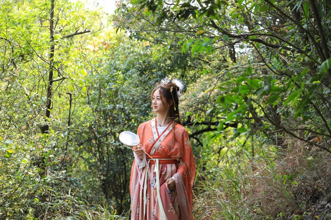 种常青树，许平安愿，赏百花，东莞观音山尽藏春日野趣