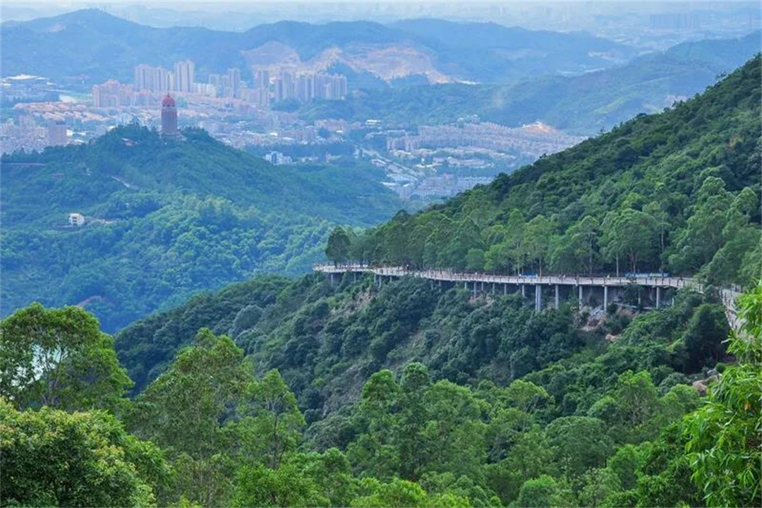 感恩父亲节，带上爸爸来观音山炫“父”，探寻清幽秘境