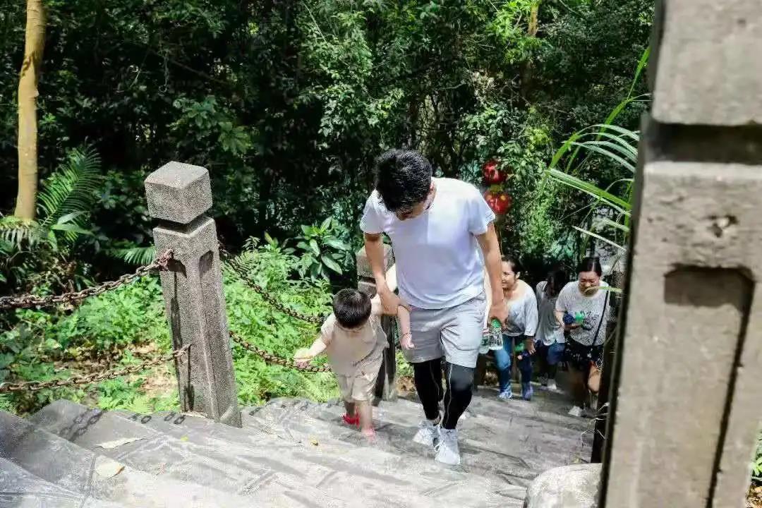 感恩父亲节，带上爸爸来观音山炫“父”，探寻清幽秘境