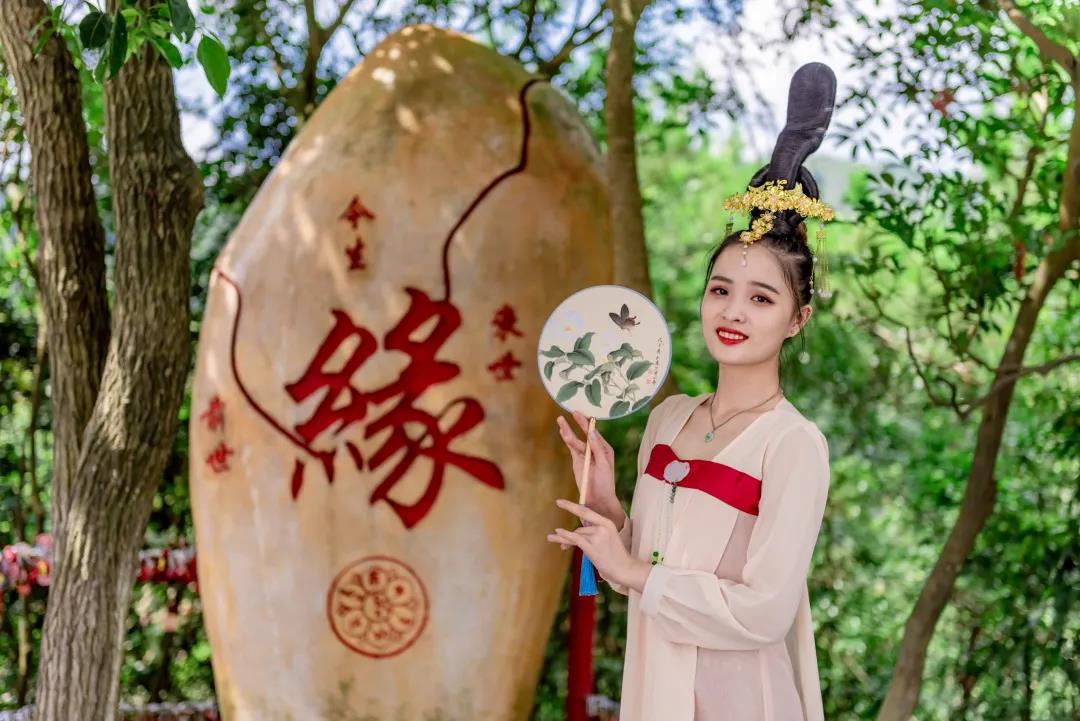 观音山上观奇石，听石头“讲”故事，“石”分精彩