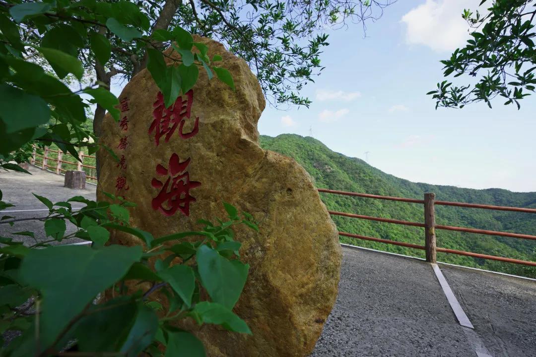 观音山上观奇石，听石头“讲”故事，“石”分精彩