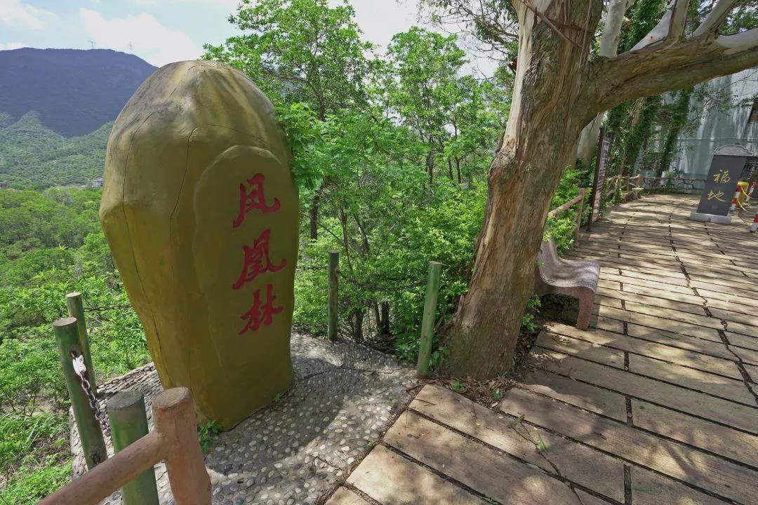 观音山上观奇石，听石头“讲”故事，“石”分精彩
