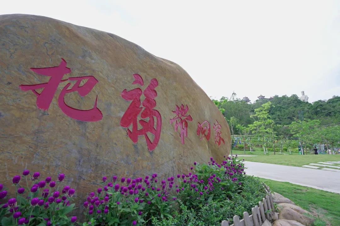 观音山上观奇石，听石头“讲”故事，“石”分精彩