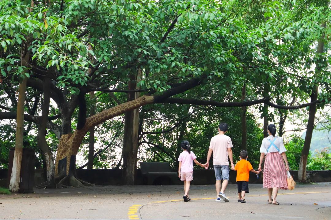 在观音山开启“开学第一课”，在森林里开启求学新篇章
