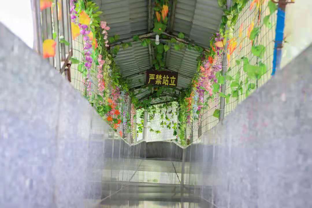 暑期倒计时！观音山这些地方好玩到爆，快带上孩子去玩吧