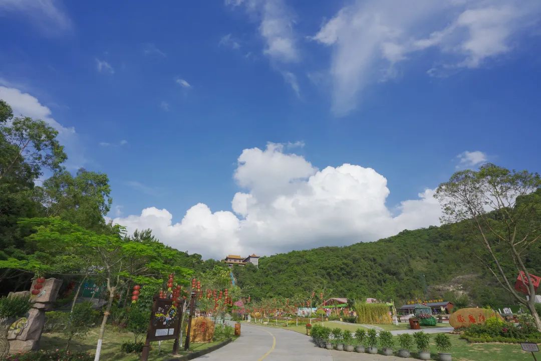中秋三天小长假，观音山这个网红打卡地！超级好玩，快来pick一下