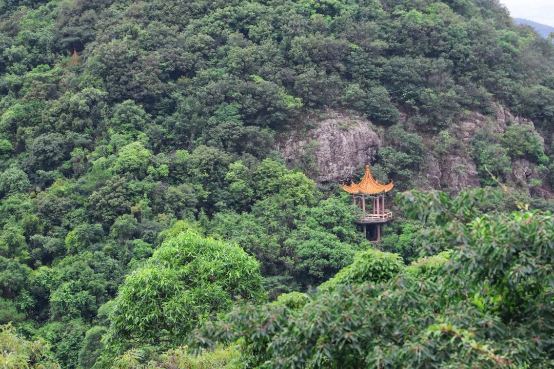 中秋三天小长假，观音山这个网红打卡地！超级好玩，快来pick一下