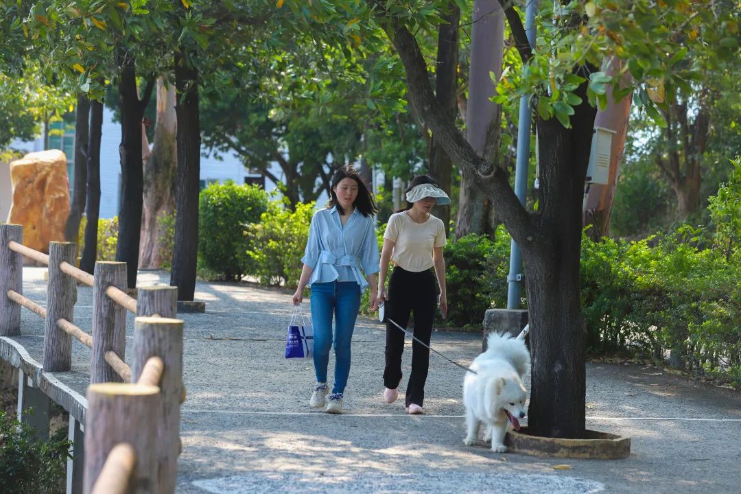 心有春光，向春而行！在观音山畅享一口好氧，与你共享春日浪漫