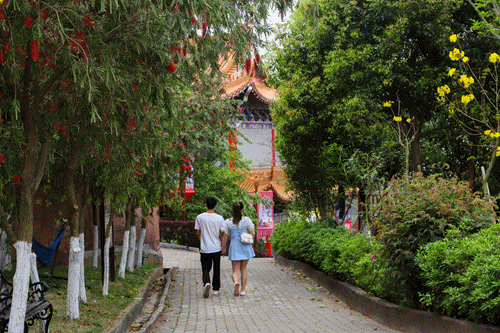 心有春光，向春而行！在观音山畅享一口好氧，与你共享春日浪漫