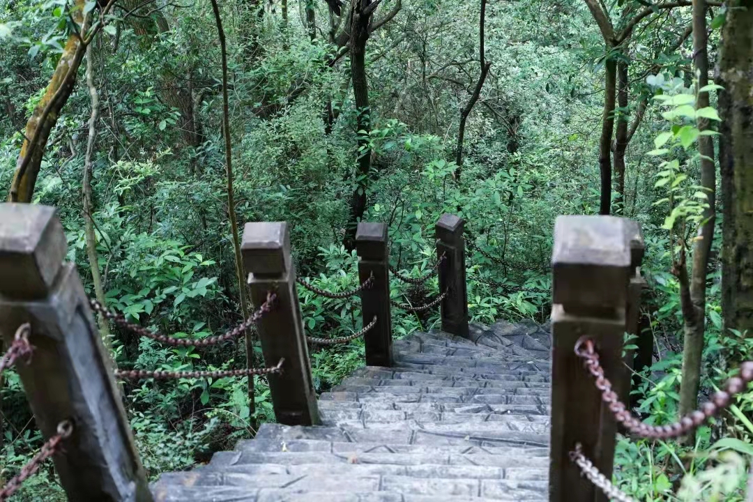 心有春光，向春而行！在观音山畅享一口好氧，与你共享春日浪漫