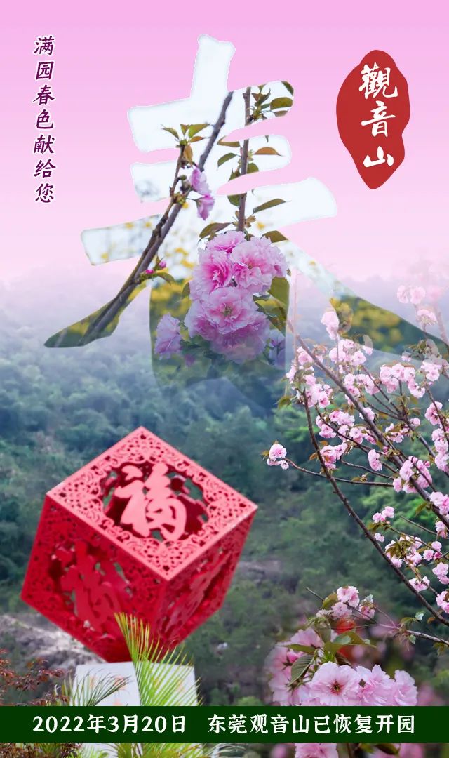 一口好“氧”，人心舒畅，属于观音山的春季限定你值得拥有