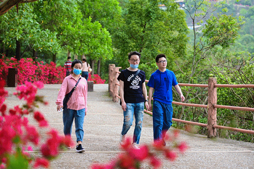 又双叒叕上榜啦！观音山踏青打卡嗨翻天，错峰出游春意浓