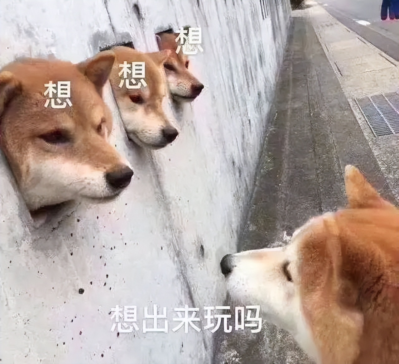 又双叒叕上榜啦！观音山踏青打卡嗨翻天，错峰出游春意浓