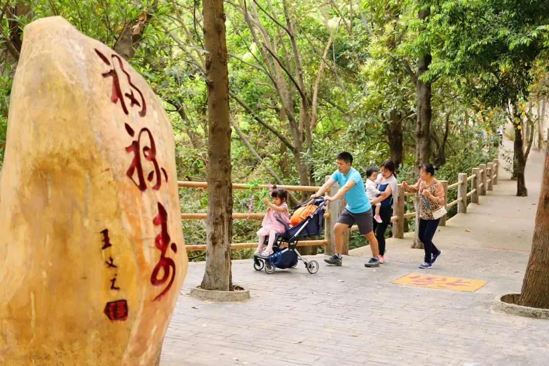 又双叒叕上榜啦！观音山踏青打卡嗨翻天，错峰出游春意浓