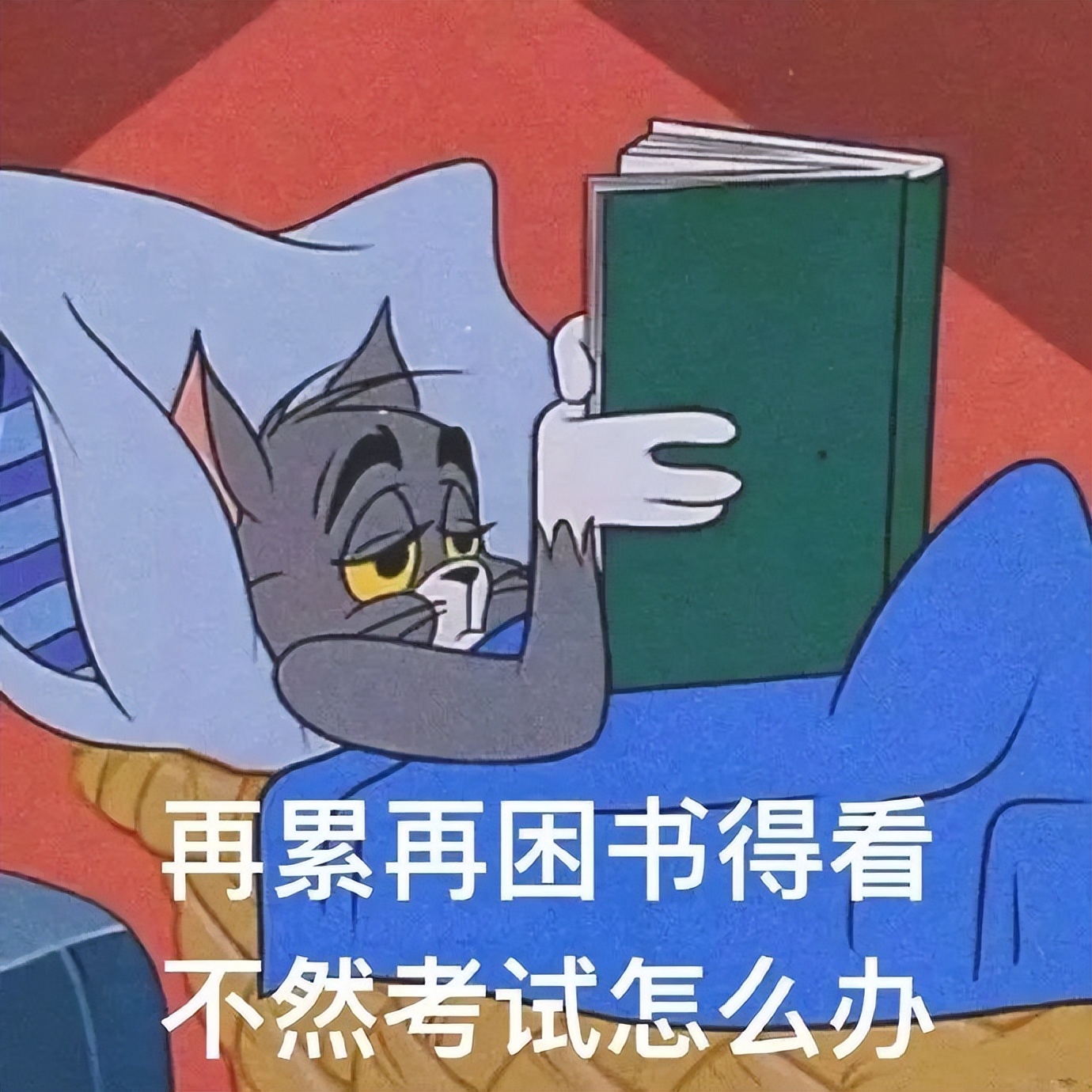 领略状元文化、许愿金榜题名，观音山带您“花式”减压，助力高考